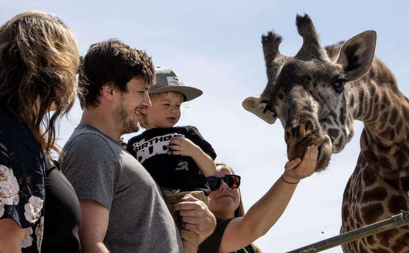 Toronto: Toronto Zoo Entry Ticket - Seven regions create a world tour in Toronto