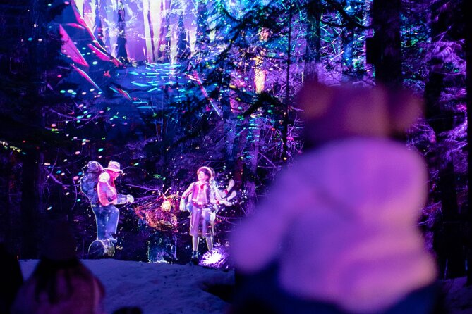 Vallea Lumina Multimedia Evening Experience - Key points before you book