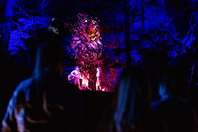 Vallea Lumina Multimedia Evening Experience - Take your time, even when the group moves quickly