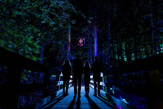 Vallea Lumina Multimedia Evening Experience - Basecamp makes the evening easier