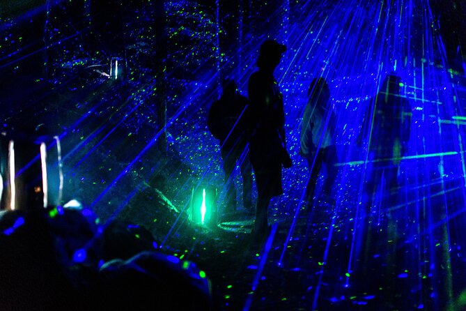 Vallea Lumina Multimedia Evening Experience - Is the $45.21 price fair?