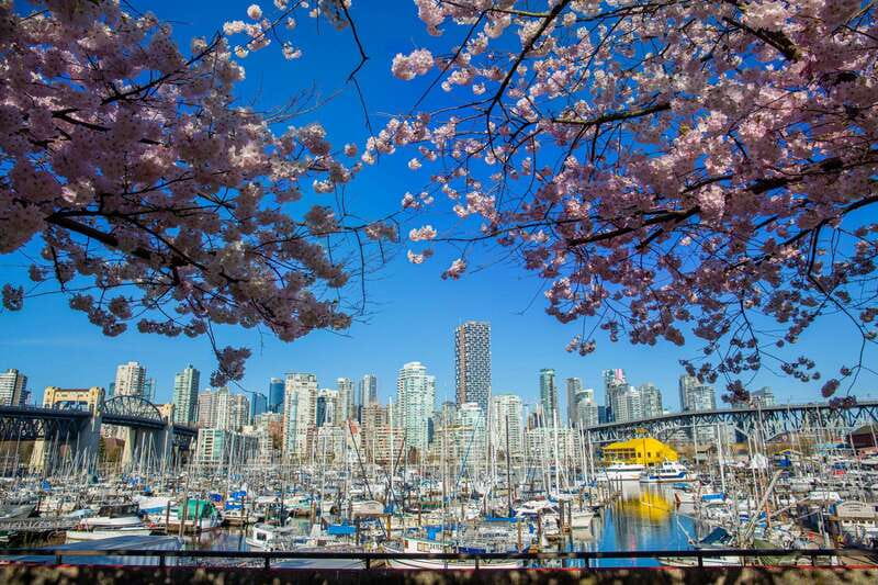 Vancouver: 24 or 48-Hour Hop-On Hop-Off Trolley Tour Pass - Stanley Park, from rose gardens to ocean viewpoints