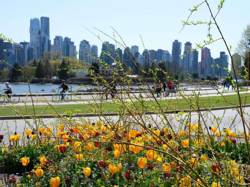 Vancouver: 24 or 48-Hour Hop-On Hop-Off Trolley Tour Pass - Live commentary and guide quality