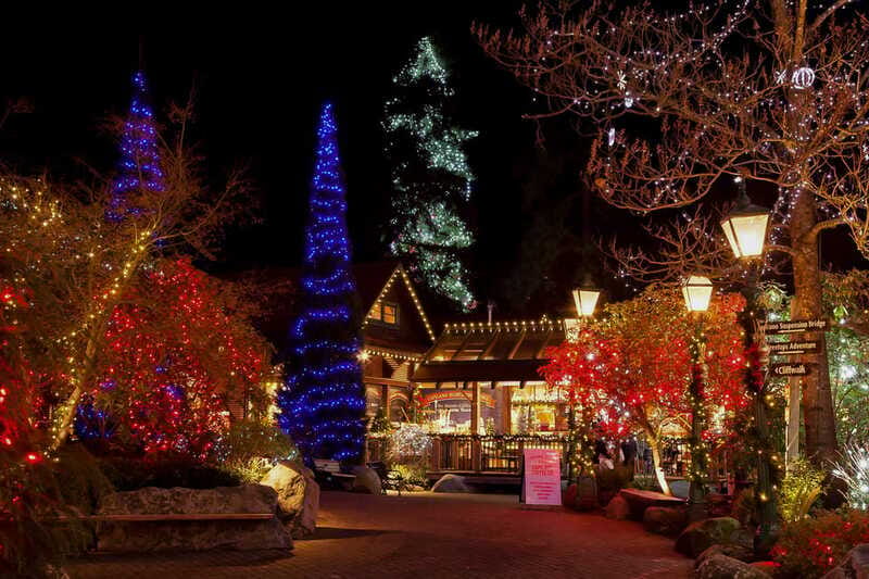 Vancouver and Capilano Suspension Bridge Canyon Lights - Guides make the difference