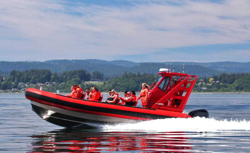 Vancouver, BC: Whale Watching Tour Small Zodiac with Guide - Why the five-hour window is worth planning around