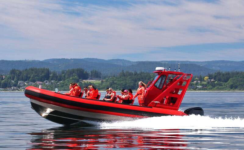 Vancouver, BC: Whale Watching Tour Small Zodiac with Guide - Check-in at Richmond’s waterfront office