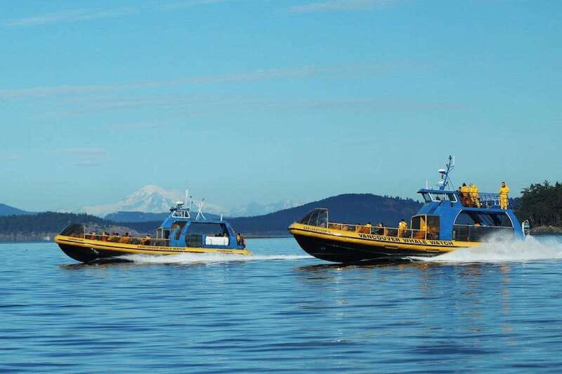 Vancouver, BC: Whale Watching Tour with Guide - Setting out from Steveston