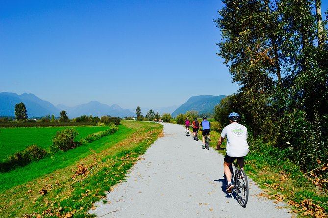 Vancouver Biking and Hiking Tour including Lunch - Lynn Canyon and the suspension bridge