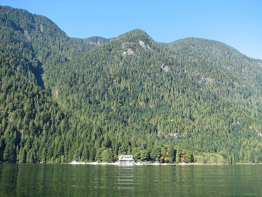 Vancouver Brunch Cruise - Why This Cruise Works for a Vancouver Afternoon