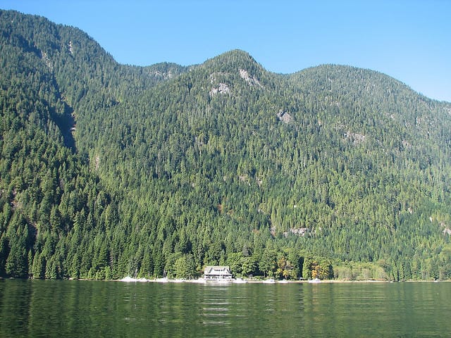 Vancouver Brunch Cruise - Indian Arm and the Move Into Nature