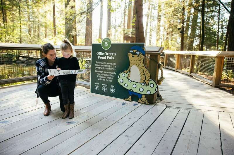 Vancouver: Capilano Suspension Bridge Park Ticket - Treetops Adventure gives you a squirrel’s view