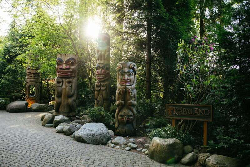 Vancouver: Capilano Suspension Bridge Park Ticket - Nature talks turn scenery into a lesson