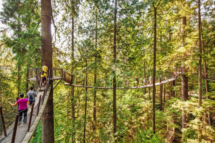 Vancouver: Capilano Suspension Bridge Park Ticket - How long to stay and what to do in order