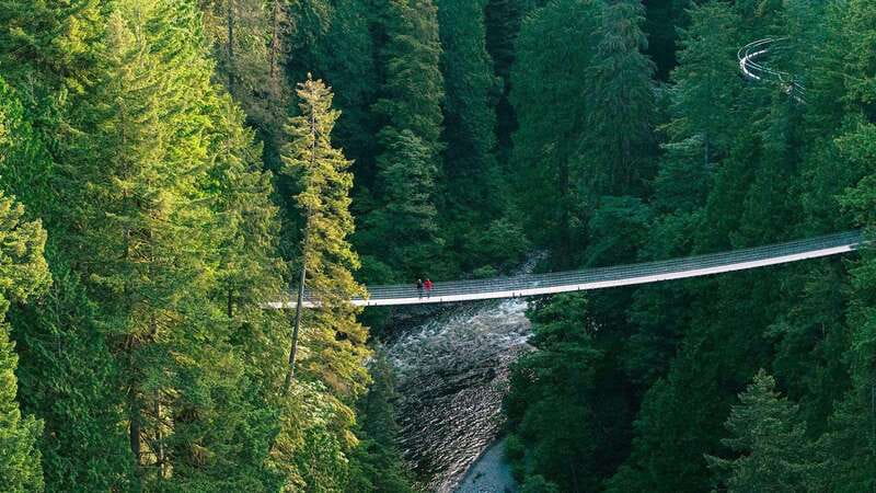 Vancouver: Capilano Suspension Bridge Park Ticket - Crossing the 450-foot Capilano Suspension Bridge