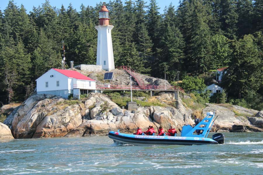 Vancouver: City and Seal Boat Tour - English Bay and the Stanley Park shoreline