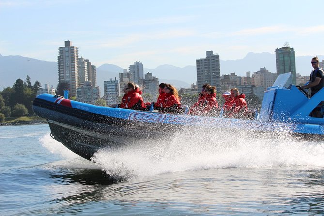 Vancouver City and Seal Colony Scenic Boat Tour - The Return Through False Creek