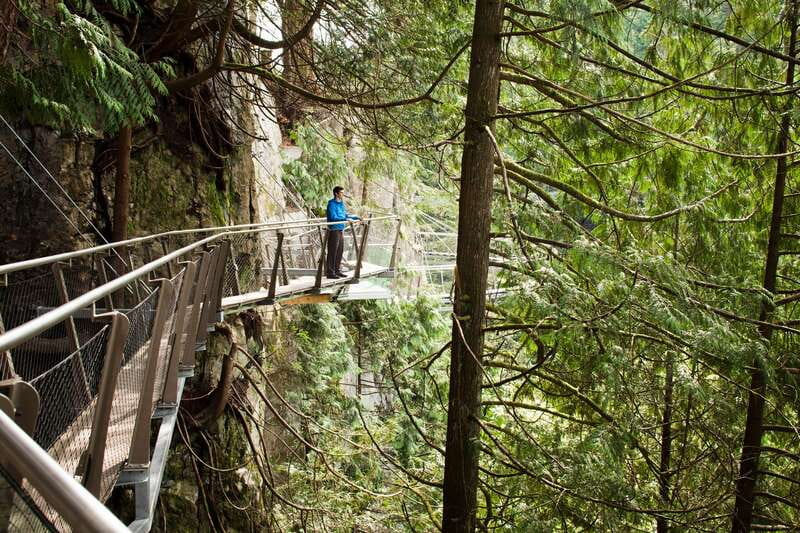 Vancouver: City+Lookout+Capilano Suspension Bridge Ticket - Chinatown, Gastown, and Canada Place from the bus