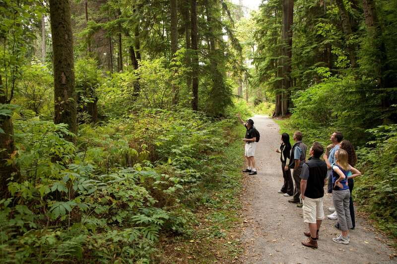 Vancouver: City + Lookout Tour & Option to Add YVR Drop-Off - What the $83 price really covers