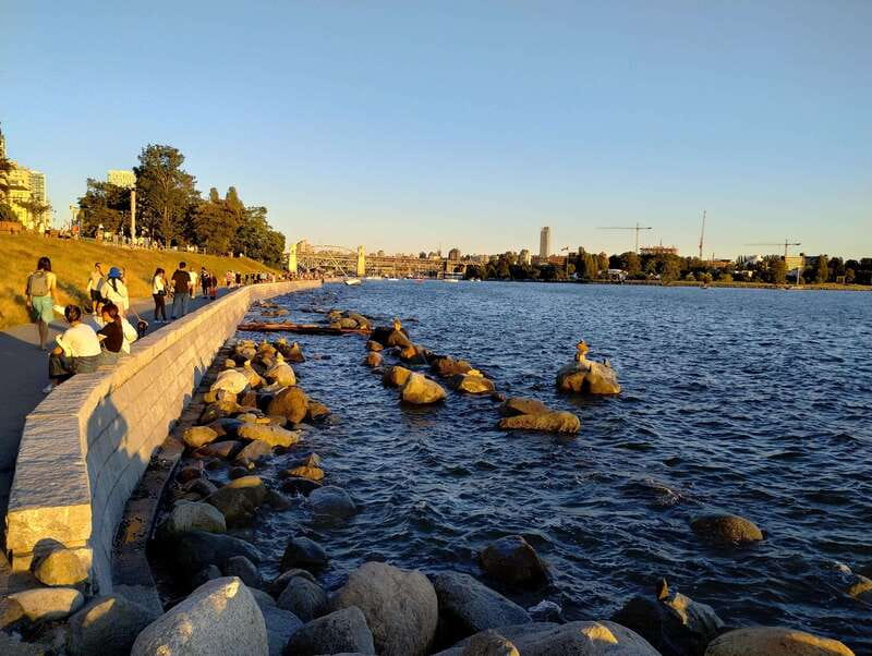 Vancouver City Tour: The Only Full Small-Group Car Tour - What this Vancouver car tour is really offering