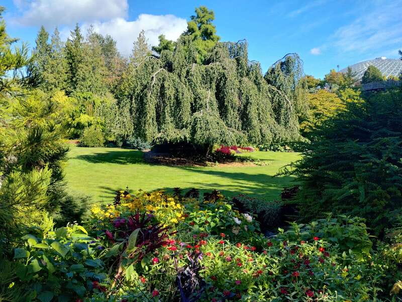 Vancouver City Tour: The Only Full Small-Group Car Tour - Stanley Park brings the tour’s best variety