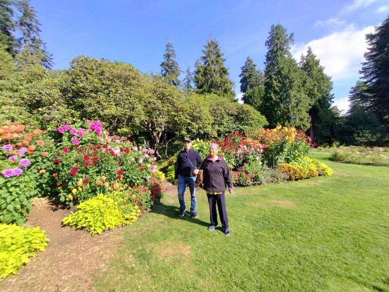 Vancouver City Tour: The Only Full Small-Group Car Tour - Why the timing matters more than the route