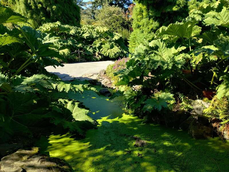 Vancouver City Tour: The Only Full Small-Group Car Tour - Is $204 per person a fair price?
