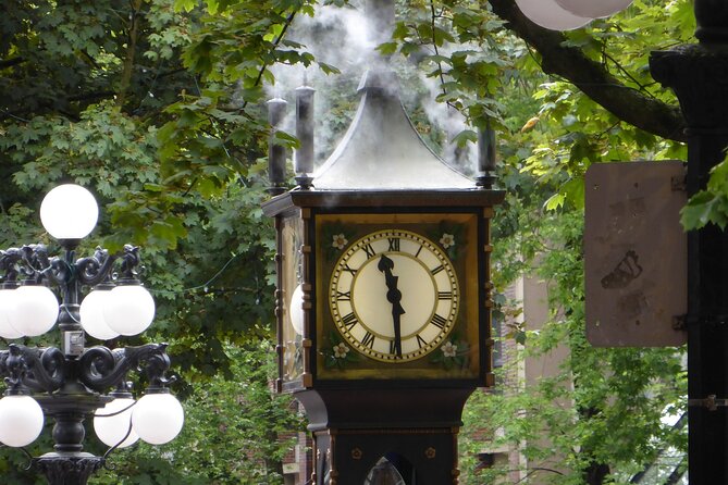 Vancouver City Tour with Admission to Lookout Tower - Why this half-day tour works well