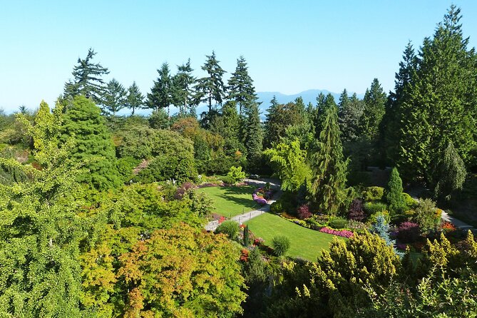 Vancouver City Tour with Admission to Lookout Tower - English Bay, the West End, and False Creek from the coach