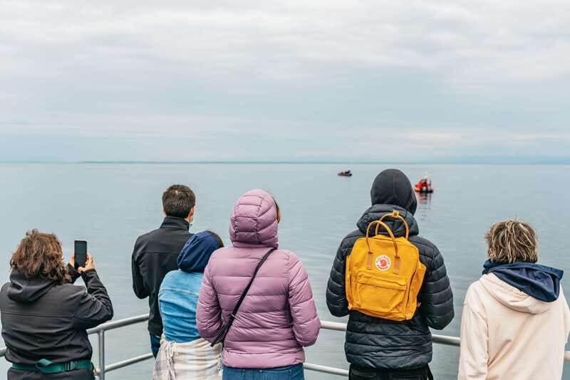 Vancouver: Covered Whale Watching Adventure with Free Photos - Half-day timing or a sunset departure