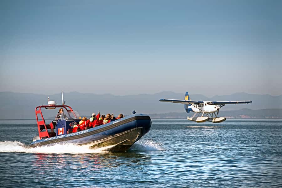 Vancouver: Day Trip to Victoria Seaplane with Whale Watching - A 35-minute flight over Vancouver and the Gulf Islands