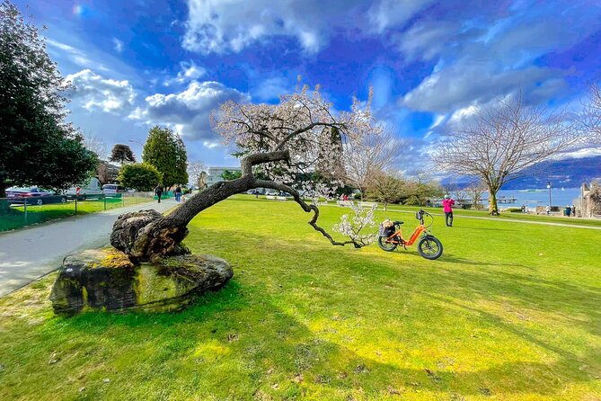 Vancouver E-Bike Rentals - Premium Seawall Bike Path Location - Stanley Park’s totem poles and A-Maze-ing Laughter