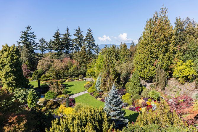 Vancouver Evening Tour: Stanley Park & English Bay Photostops - Driving through Stanley Park after sunset