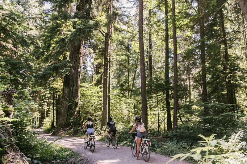 Vancouver: Guided Bike Tour - Stanley Park by seawall and forest trail