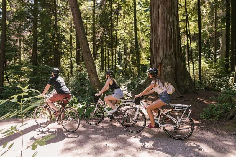 Vancouver: Half-Day City Highlights E-Bike Tour Age 16+ - Why this tour works as a first look at Vancouver