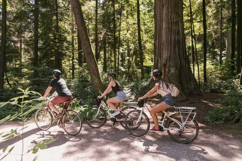 Vancouver: Half-Day City Highlights E-Bike Tour Age 16+ - Yaletown and Olympic Village along False Creek