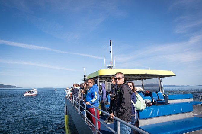 Vancouver Half-Day Whale Watching Adventure with Free Photos - Staying warm on the catamaran