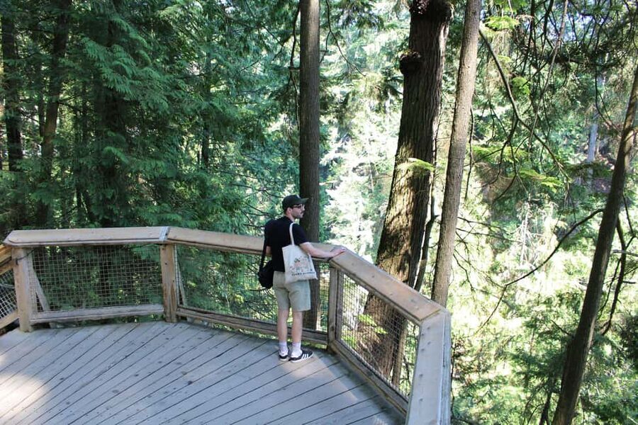 Vancouver Highlights: Capilano Bridge & Granville Island - Why this half-day tour works well