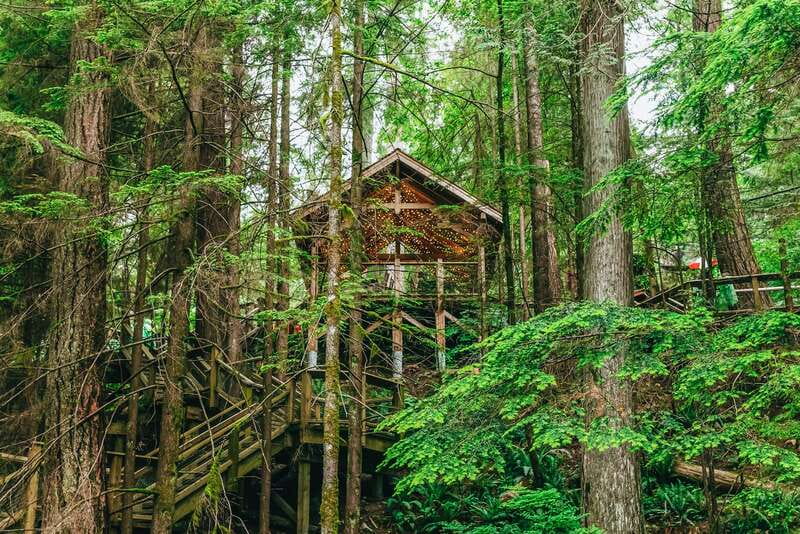 Vancouver Highlights: Capilano Bridge & Granville Island - Capilano Suspension Bridge Park is the main event