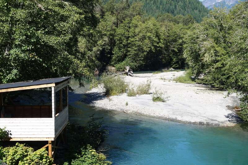 Vancouver Island: Full-Day Grizzly Bear Tour at Toba Inlet - The cost: who gets good value at $555.10