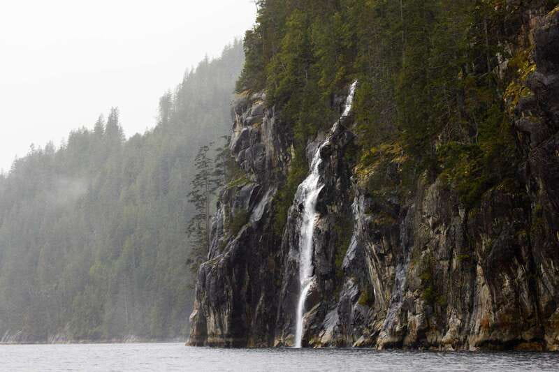 Vancouver Island: Full-Day Grizzly Bear Tour at Toba Inlet - The Toba Inlet setting and the bear search
