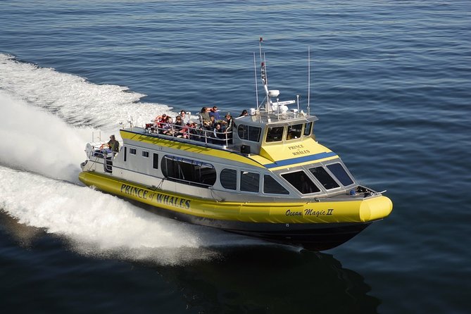 Vancouver Island Half-Day Whale Watching Tour - Telegraph Cove - Why Telegraph Cove is such a good starting point