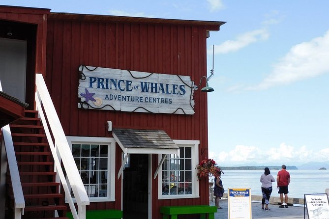 Vancouver Island Half-Day Whale Watching Tour - Telegraph Cove - Booking timing and cancellation details