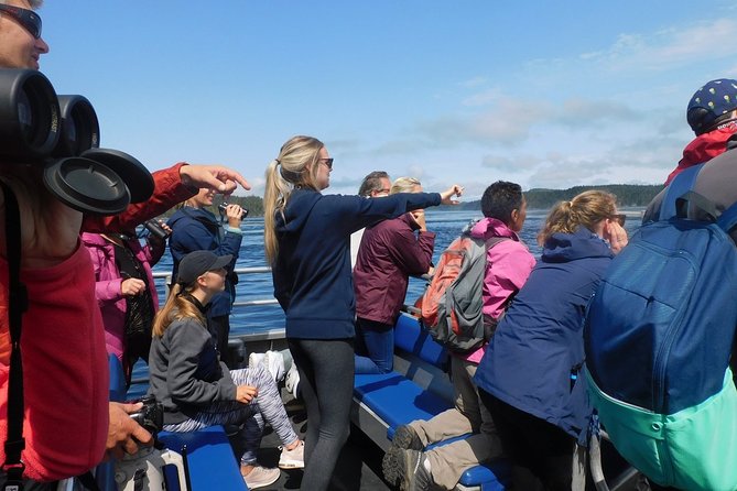 Vancouver Island Half-Day Whale Watching Tour - Telegraph Cove - Who will enjoy this most?