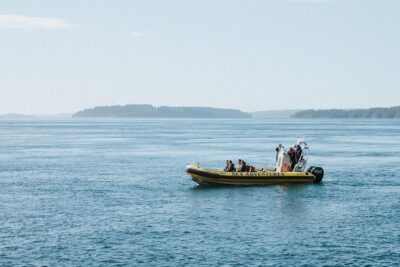 Vancouver Island Zodiac Whale Watching Adventure – Telegraph Cove