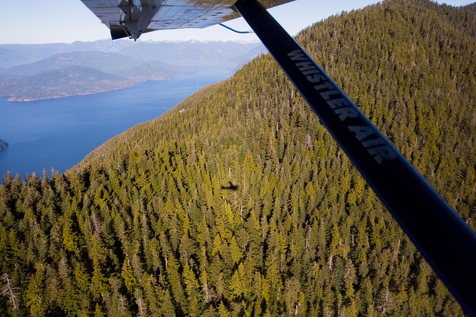 Vancouver Panorama Scenic Seaplane Tour - Comfort, identification, and family details