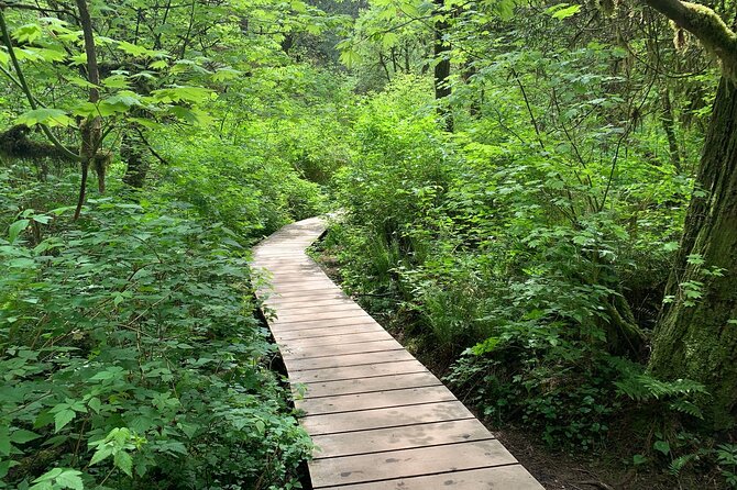 Vancouver Rainforest Hike with Waterfalls, Suspension Bridge, Old Growth Forest - Crossing the Lions Gate Bridge Into North Vancouver
