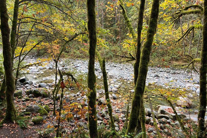 Vancouver Rainforest Hike with Waterfalls, Suspension Bridge, Old Growth Forest - The Real Fitness Level: More Than a Casual Nature Walk