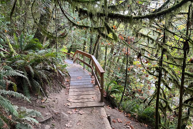 Vancouver Rainforest Hike with Waterfalls, Suspension Bridge, Old Growth Forest - Adrian’s Guiding Style and Small-Group Care