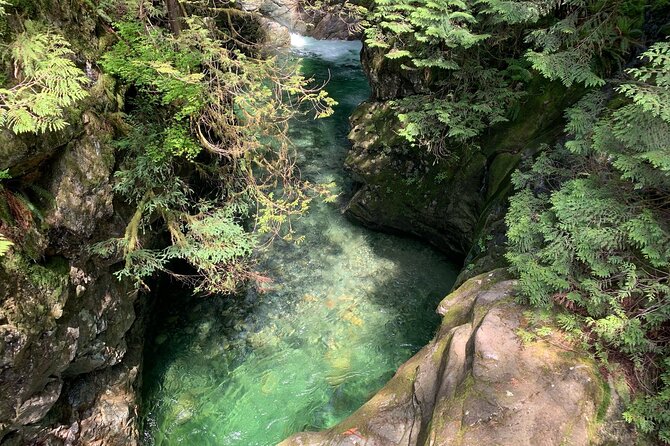 Vancouver Rainforest Hike with Waterfalls, Suspension Bridge, Old Growth Forest - Is $58.56 a Good Price?