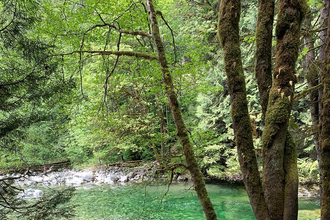 Vancouver Rainforest Hike with Waterfalls, Suspension Bridge, Old Growth Forest - What to Pack for Lynn Canyon